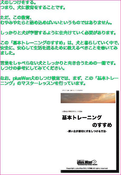 犬のしつけをする。